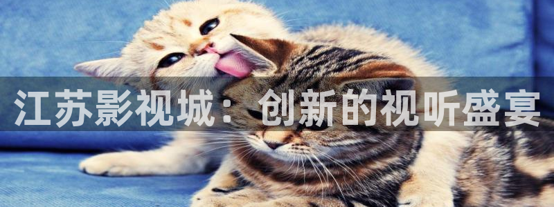 草莓视频wwwxx：江苏影视城：创新的视听盛宴