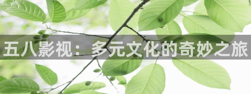 有关草莓视频：五八影视：多元文化的奇妙之旅
