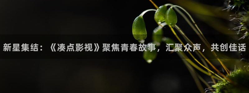 草莓的短视频