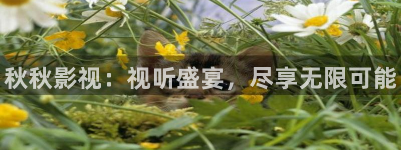 草莓影视视频