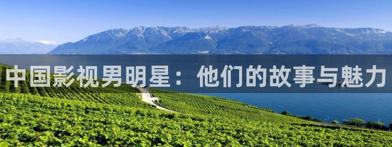 草莓视频污官网：中国影视男明星：他们的故事与魅力