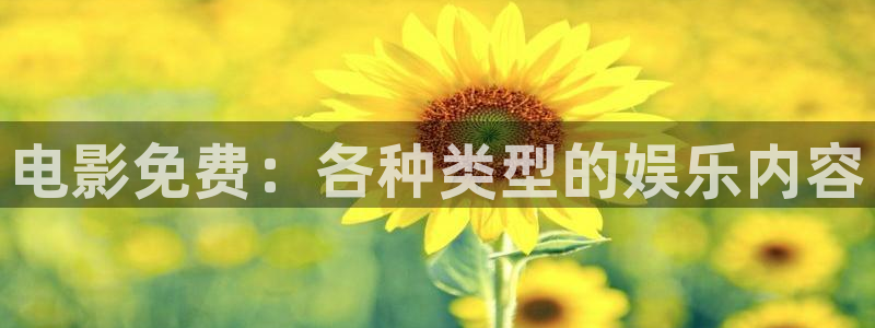 草莓视频hh